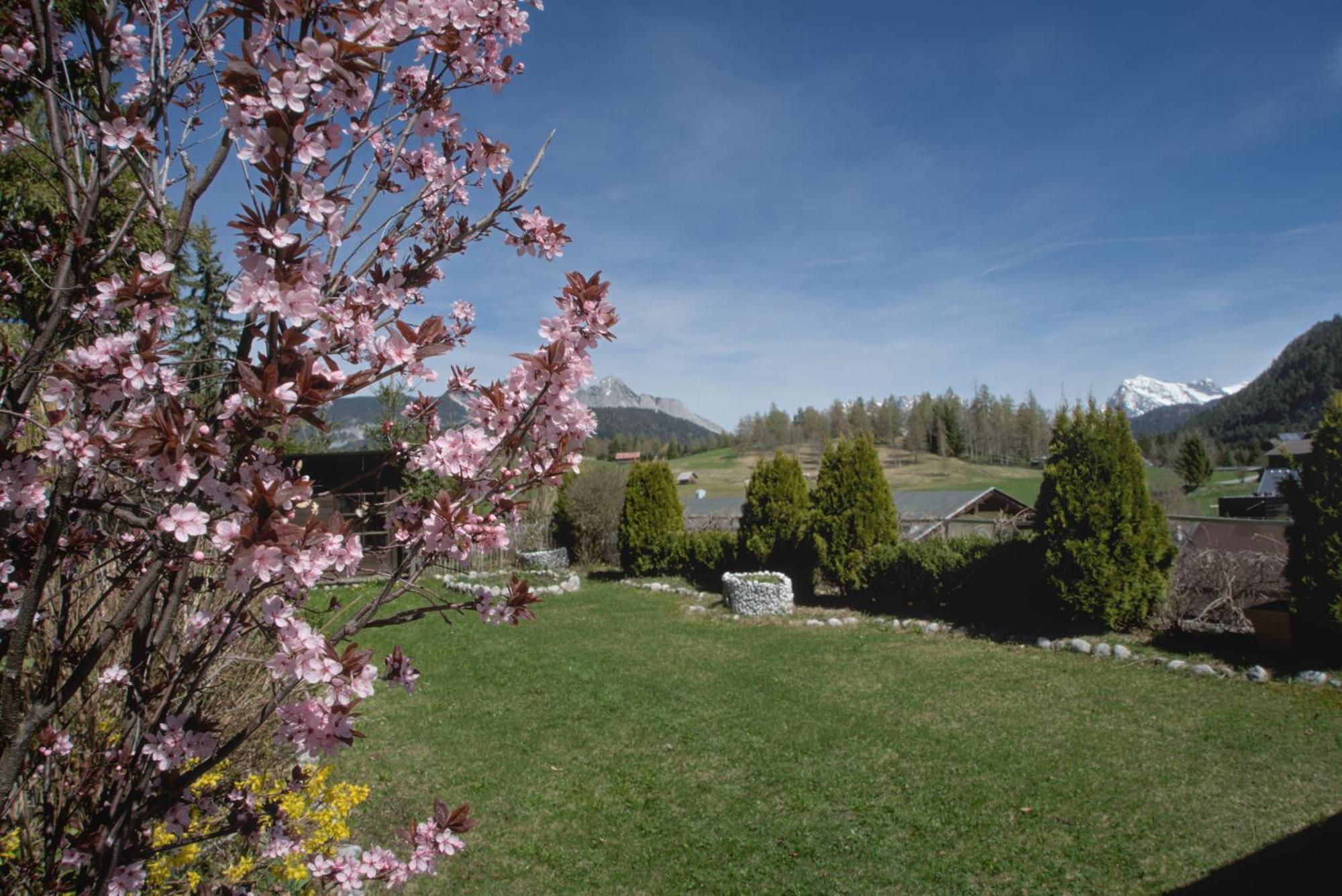 Haus Tannengruen Apartment Seefeld in Tirol Bagian luar foto